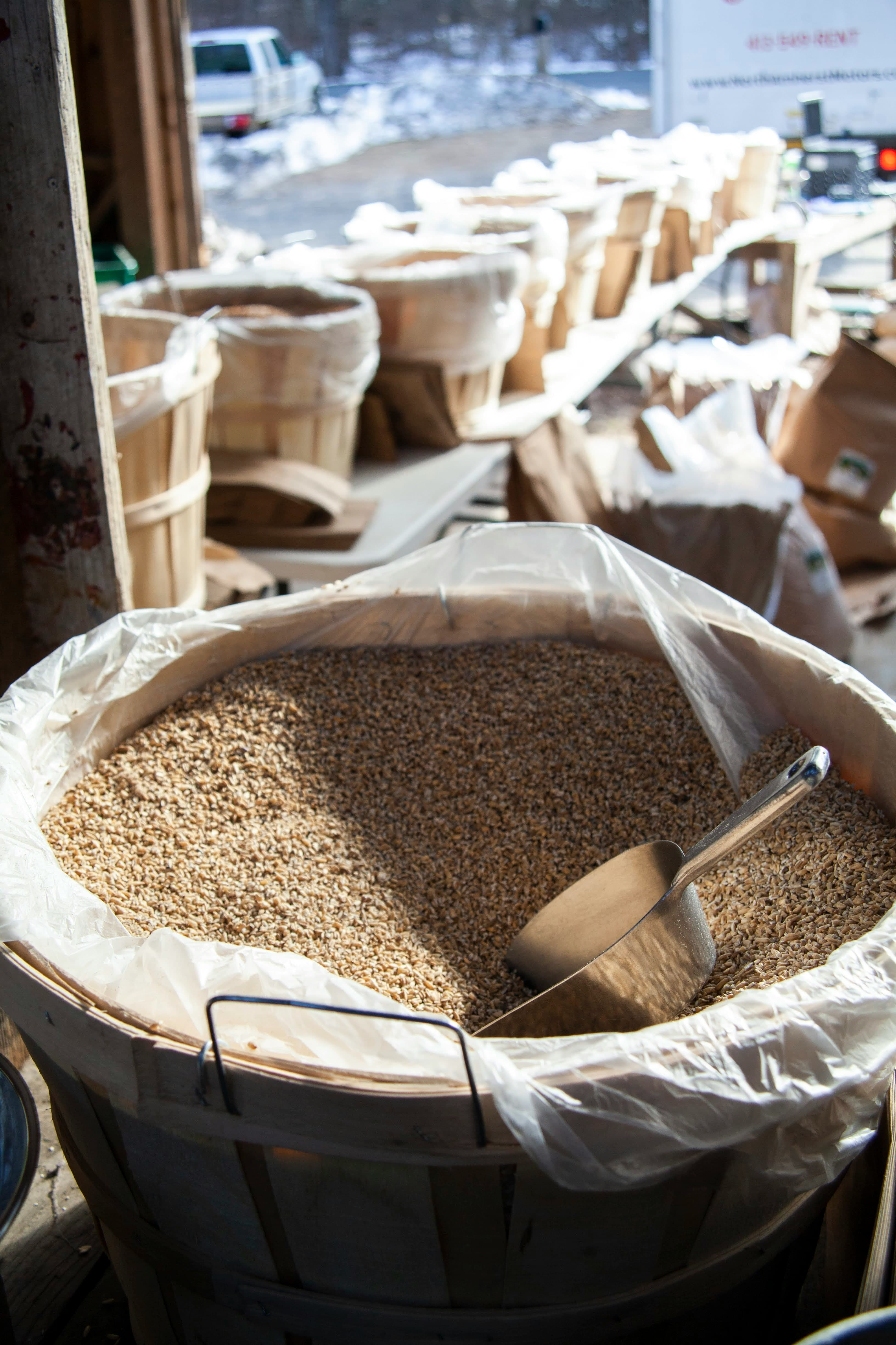 Whole Oats