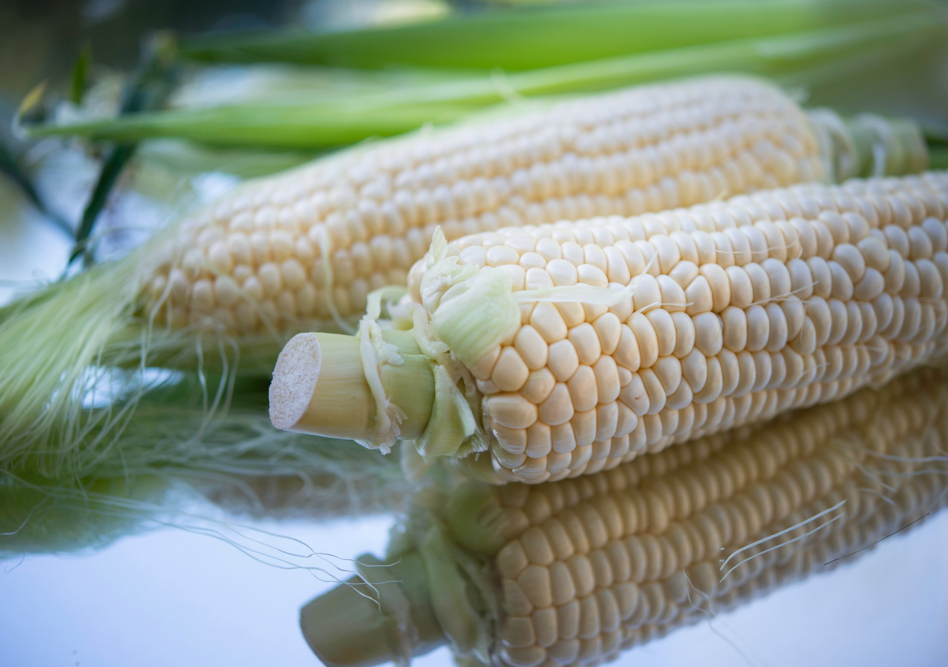 White Corn