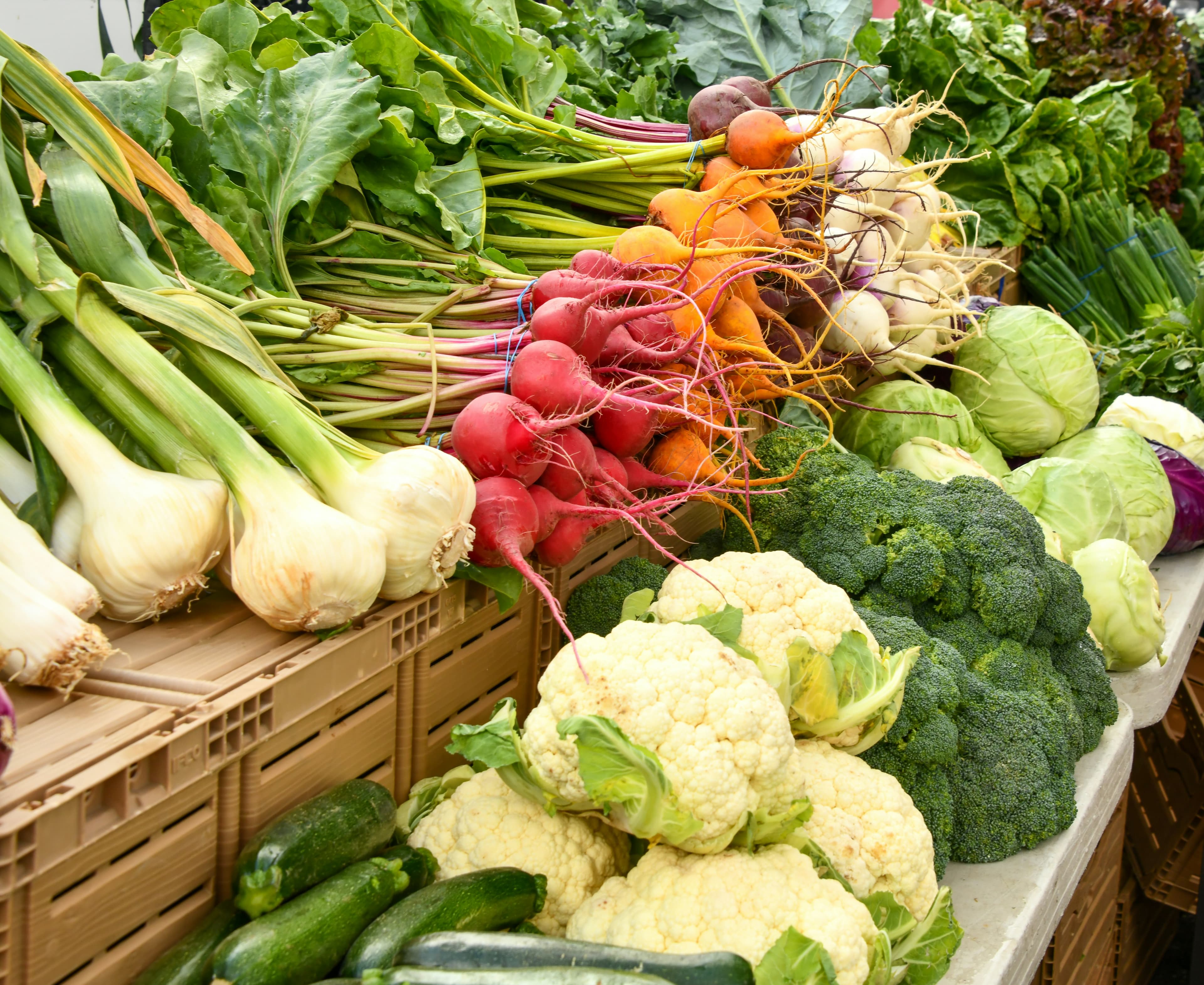Golden Harvest wholesale agricultural products